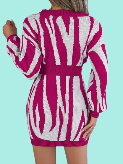 Animal Print V-Neck Long Sleeve Sweater Dress