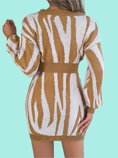 Animal Print V-Neck Long Sleeve Sweater Dress